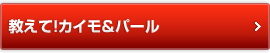 教えて！カイモ＆パール