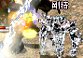 記事画像